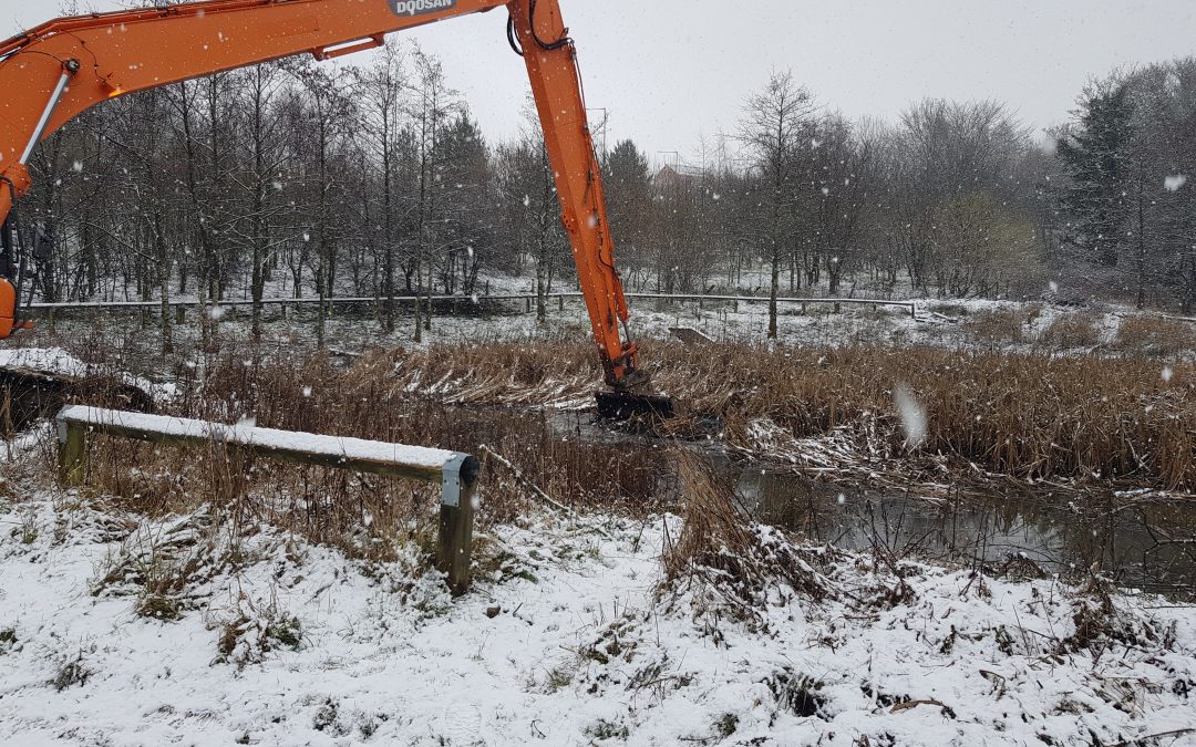 Yarrow Valley Country Park, Chorley – Habitat Improvements