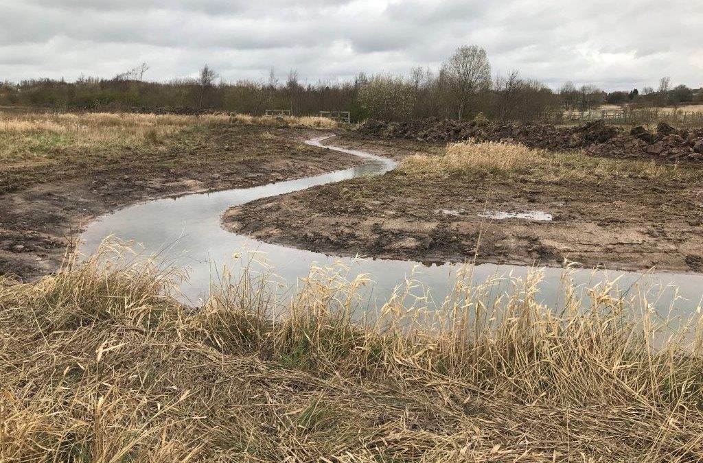 Bickershaw Country Park, Wigan – Wetland Enhancement Works