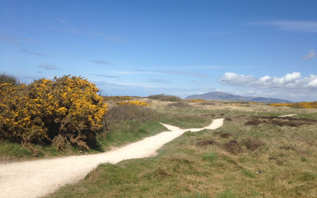 North Walney Island Reserve – Access Improvement Works