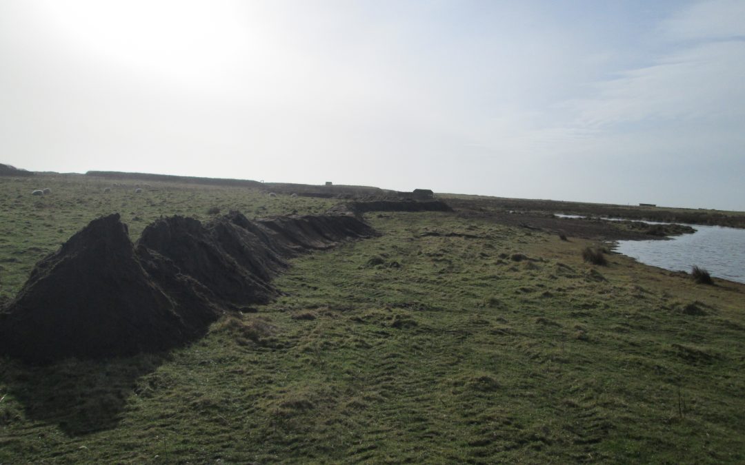 South Walney Island Reserve – Habitat Management