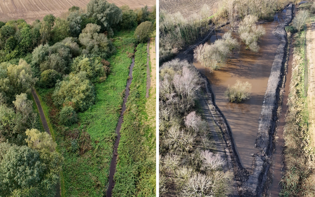 Biodiversity Net Gain – Mill Dam Park Wetlands